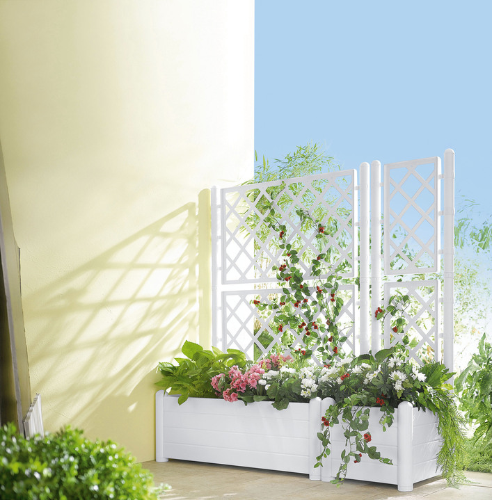 Blumentöpfe & Pflanzgefäße - Pflanzkasten mit Spalierwand, in Farbe WEISS, in Ausführung Pflanzkasten klein Ansicht 1