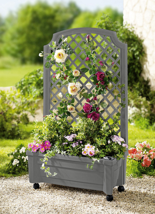 Blumentöpfe & Pflanzgefäße - Roll-Pflanzkasten mit Spalier, in Farbe GRAU Ansicht 1