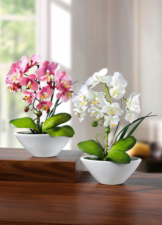 Kunst- & Textilpflanzen - Orchideen in Keramikschale, 2er-Set, in Farbe