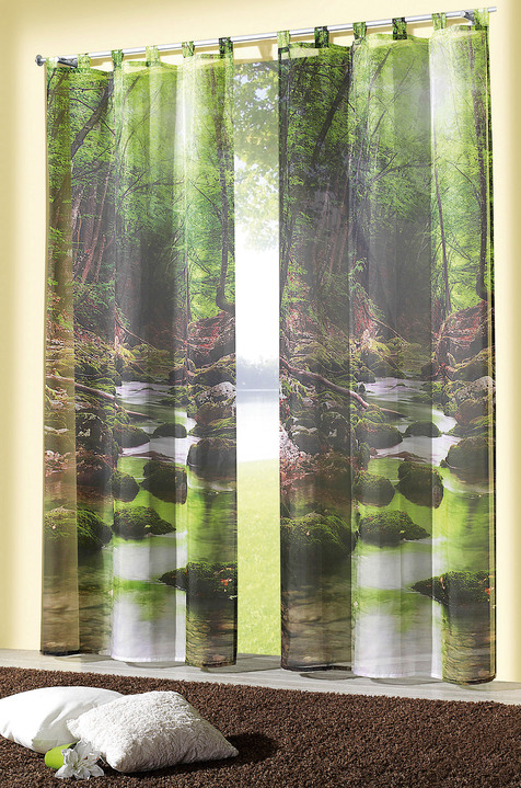 - Übergardine Waldbach mit Schlaufen oder Universalschienenband, in Größe 365 (H145xB120 cm) bis 572 (H245xB120 cm), in Farbe , in Ausführung mit Schlaufen