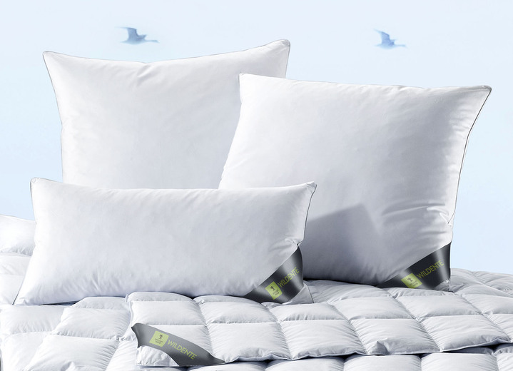 Bettwaren - Hochwertiges Kissenprogramm von Spessarttraum – Beste Qualität für erholsamen Schlaf, in Größe 120 (80/ 80 cm) bis 126 (70/90 cm), in Farbe SILBER