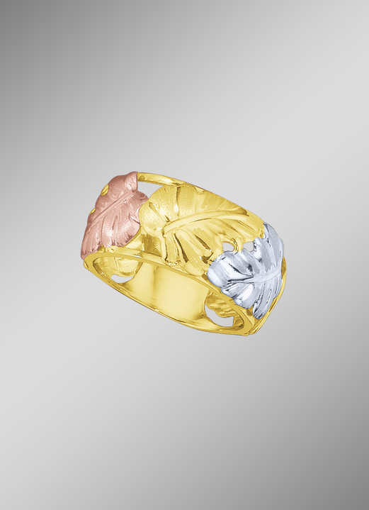 ohne Steine / mit Zirkonia - Damenring im Blätter-Design, in Größe 160 bis 220, in Farbe  Ansicht 1