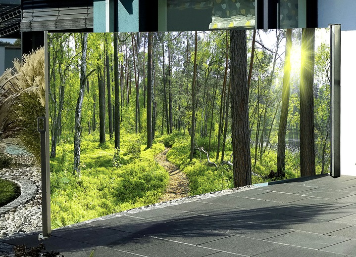 Sichtschutz & Sonnenschutz - Seitenmarkise Wald, in Farbe , in Ausführung Kassette rechts, Auszug nach links Ansicht 1