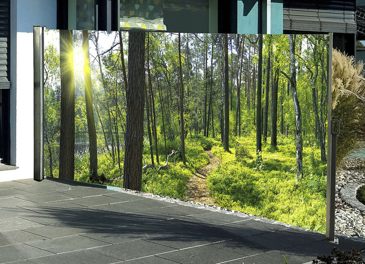 Sichtschutz & Sonnenschutz - Seitenmarkise Wald, in Farbe , in Ausführung Kassette links, Auszug nach rechts Ansicht 1