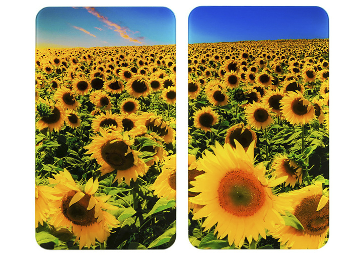 Wenko - Herdabdeckplatten Sonnenblumen, 2er-Set, in Farbe SONNENBLUMEN