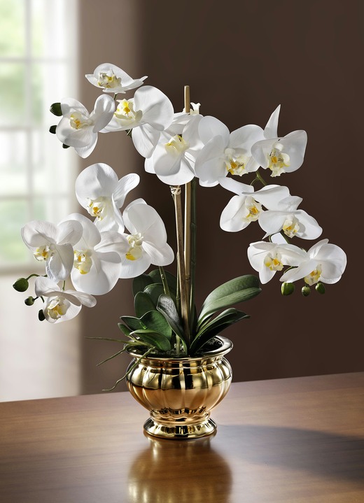 Kunst- & Textilpflanzen - Orchidee im Topf, in Farbe WEISS