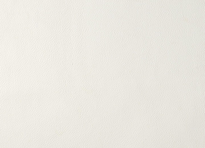 Decken - Tierfreundliche Schutzdecken für Sessel und Sofa, in Größe 100 (Auflage, 50x 90 cm) bis 865 (2 Armlehnenschoner, 38x 55 cm), in Farbe CREME Ansicht 1