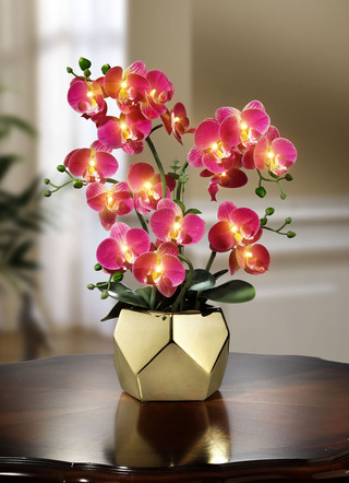 Beleuchtetes Orchideen-Gesteck