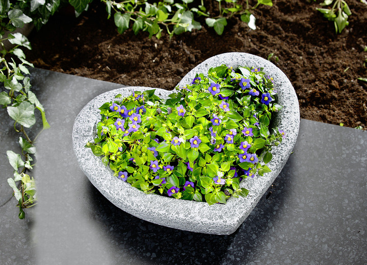Blumentöpfe & Pflanzgefäße - Herz-Pflanzschale aus wetterfestem Polyresin, in Farbe GRAU