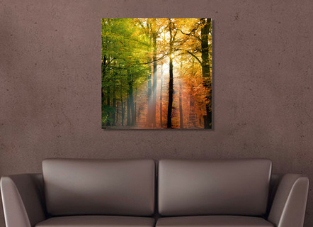 Hochwertiges Leinwandbild