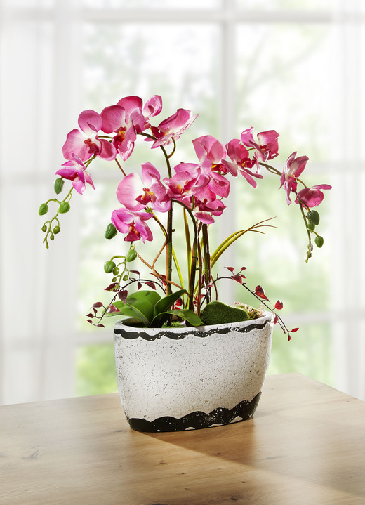 - Orchidee im Keramiktopf, in Farbe ROSA