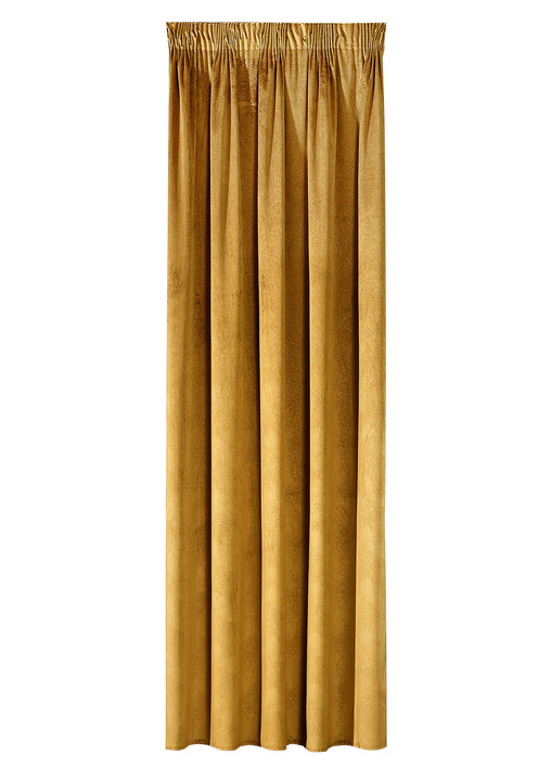 Klassisch - Energiespar-Verdunkelungsschals in Samtoptik, in Größe 364 (H150xB140 cm) bis 436 (H245xB140 cm), in Farbe GOLD, in Ausführung Mit Universalschienenband Ansicht 1