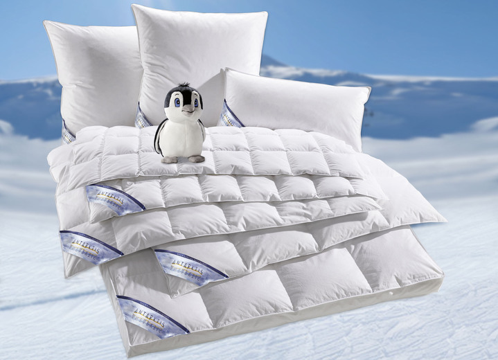 Bettwaren - Daunenprogramm Antarktis von Spessarttraum, in Größe 103 (Decke, 135/200 cm) bis 403 (Sparset, 4-teilig, mit gratis Kuschel-Pinguin), in Farbe WEISS, in Ausführung Extra leicht