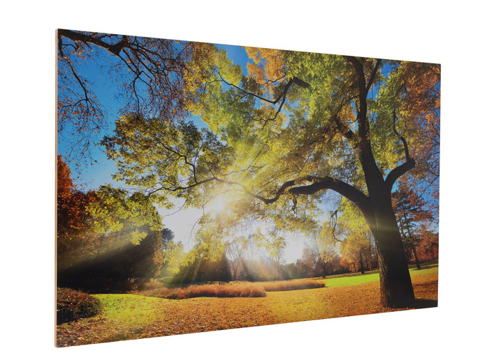 Herbstimpressionen - Hochwertiges Kunstdruck Bild, in Farbe BUNT