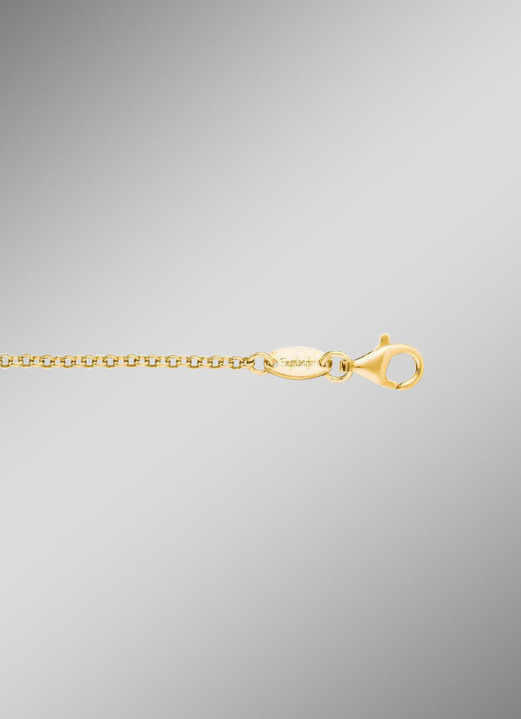 Halsketten & Armbänder - Erbskette, goldplattiert, in Farbe  Ansicht 1