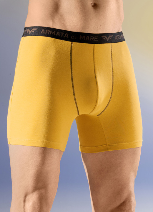 Unterwäsche - Viererpack Pants mit Elastikbund, in Größe 004 bis 011, in Farbe 2X OCKER, 2X BRAUN Ansicht 1