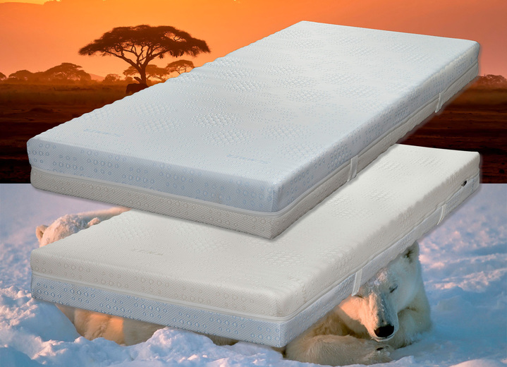 Matratzen & Bettrahmen - 7-Zonen-Cellflex-Matratze von Hemafa mit Sommer- und Winterseite, in Größe 129 (80/190 cm) bis 136 (160/200 cm), in Farbe , in Ausführung Höhe ca. 14 cm Ansicht 1