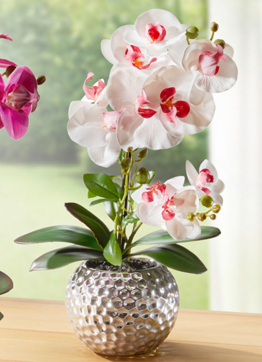 Kunst- & Textilpflanzen - Orchidee Phalaenopsis in Keramikschale, in Farbe ROSA-WEISS Ansicht 1