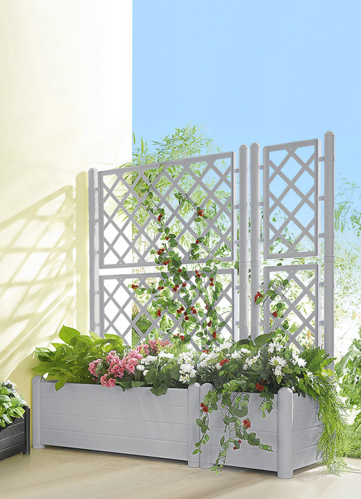 Blumentöpfe & Pflanzgefäße - Pflanzkasten mit Spalierwand, in Farbe STEINGRAU, in Ausführung Pflanzkasten klein Ansicht 1