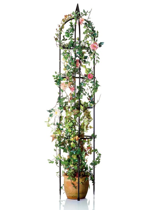 Gartenpflege - Rankgitter aus schwarz lackiertem Metall , in Farbe SCHWARZ Ansicht 1