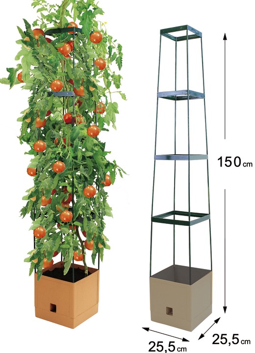 Blumentöpfe & Pflanzgefäße - MAXITOM Tomaten-Rankhilfe Komplett-Set, in Farbe TERRA Ansicht 1