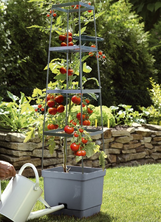 Blumentöpfe & Pflanzgefäße - MAXITOM Tomaten-Rankhilfe Komplett-Set, in Farbe ANTHRAZIT Ansicht 1