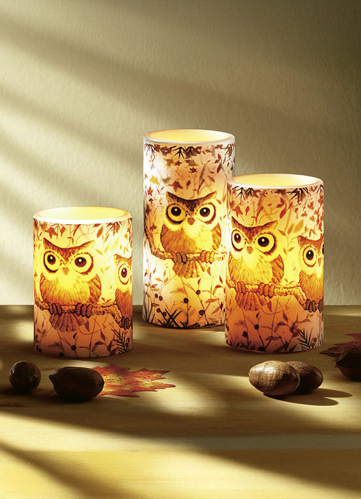 Wohnaccessoires - LED-Echtwachskerzen mit Eulenmotiv, 3er-Set, in Farbe  Ansicht 1