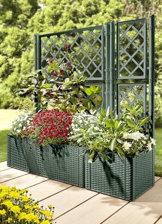Pflanzkasten in Rattan-Optik
