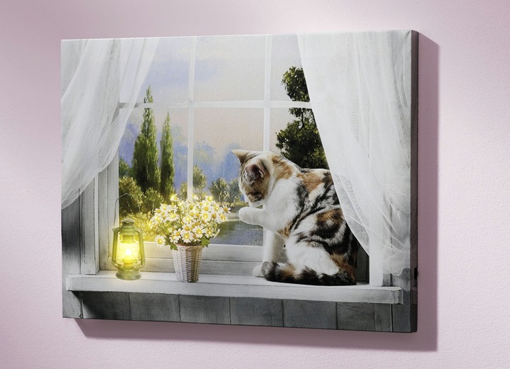 Tiere - LED-Bild mit Katze, in Farbe WEISS
