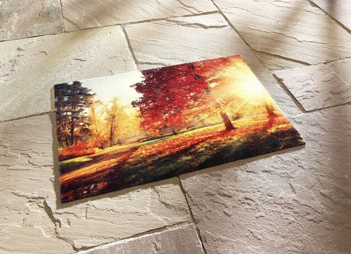 Fußmatten - Fußmatte Herbstwald, in Farbe TERRA