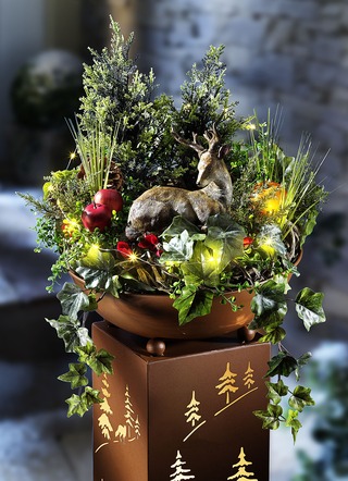 Weihnachtsdeko Aussen Und Fur Den Garten Kaufen Brigitte Salzburg