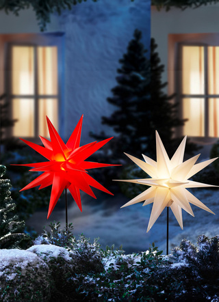 Weihnachtsstern mit Erdspieß