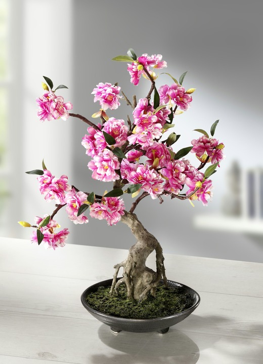 Kunst- & Textilpflanzen - Cerasum-Bonsai im Topf, in Farbe PINK