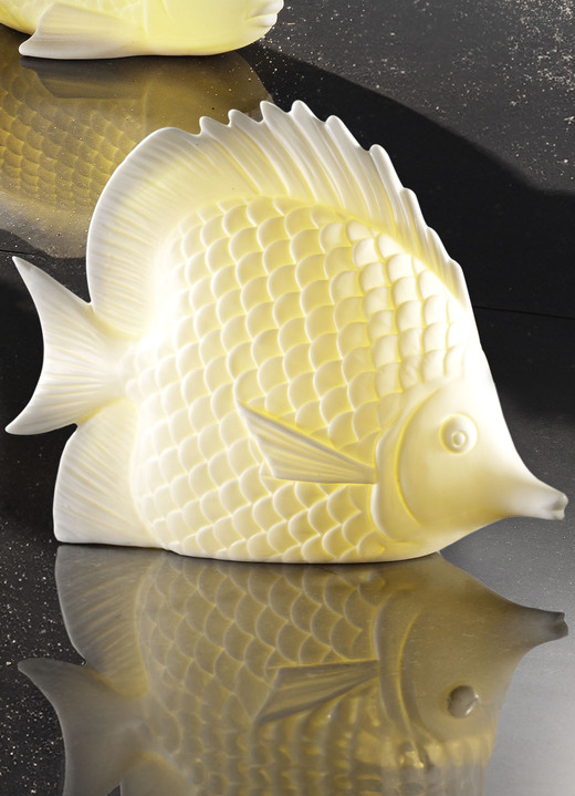 Wohnaccessoires - LED Meerestiere, in Farbe WEISS, in Ausführung LED-Leuchte Fisch Ansicht 1