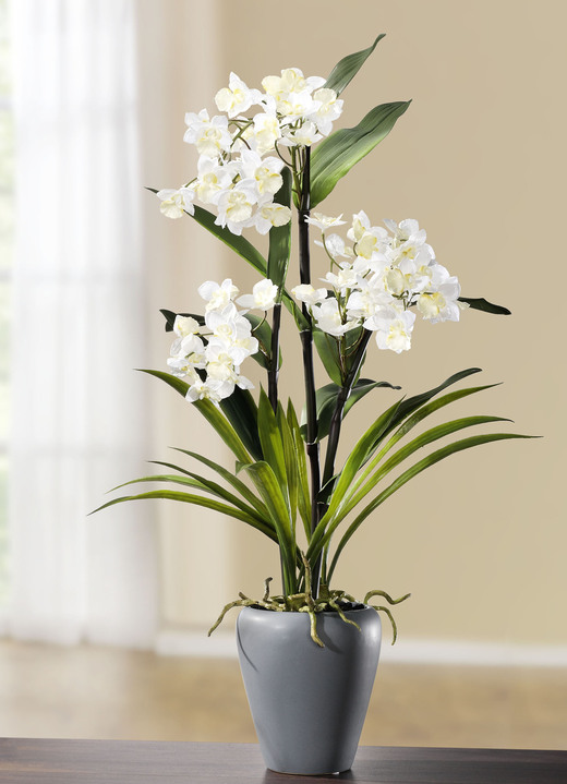 Kunst- & Textilpflanzen - Orchidee in Vase, in Farbe WEIß