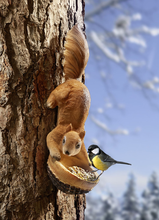 - Eichhörnchen mit Futterschale, in Farbe BRAUN-WEISS
