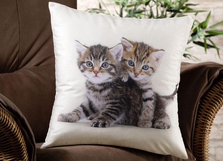 Kissenbezüge - Kissenbezug mit Kätzchen in Samtoptik, in Farbe BUNT