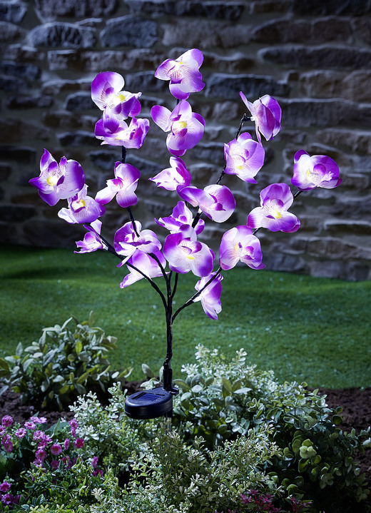 Leuchtende Dekoration - Täuschend echte Solar-Orchidee, in Farbe LILA-WEISS