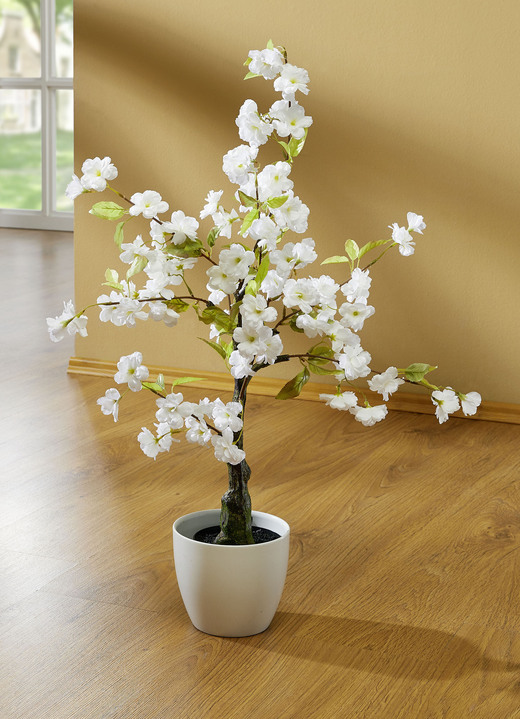 Kunst- & Textilpflanzen - Kirschblütenbaum im Kunststofftopf, in Farbe WEIß Ansicht 1