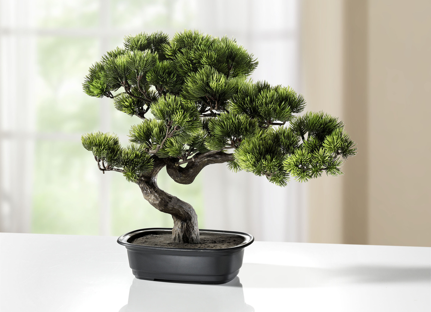 Kiefer-Bonsai - Kunst- & Textilpflanzen | Brigitte Salzburg