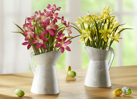 Sternblumen in weißer Metallkanne