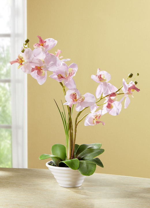 Kunst- & Textilpflanzen - Orchidee im Topf, in Farbe ROSA-GRÜN
