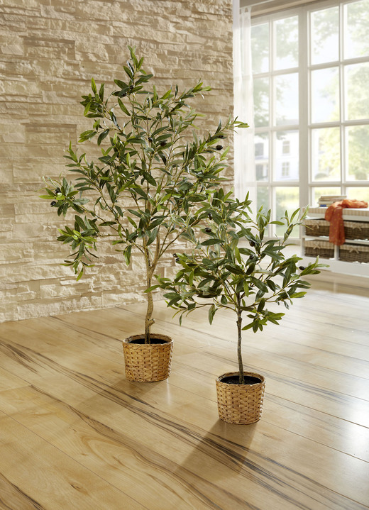 Kunst- & Textilpflanzen - Olivenbaum im Topf, in Farbe GRÜN, in Ausführung Olivenbaum im Topf, groß
