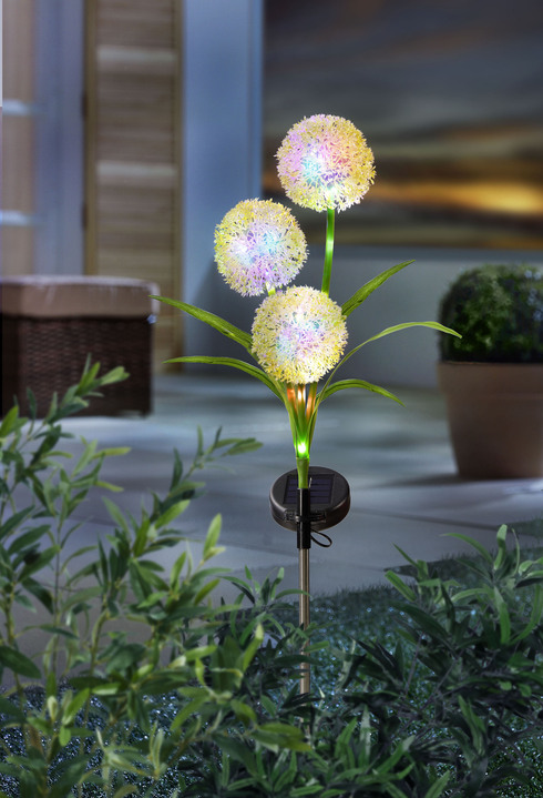 Solarleuchten - LED-Leuchte mit 3 Kugelblüten, in Farbe BUNT