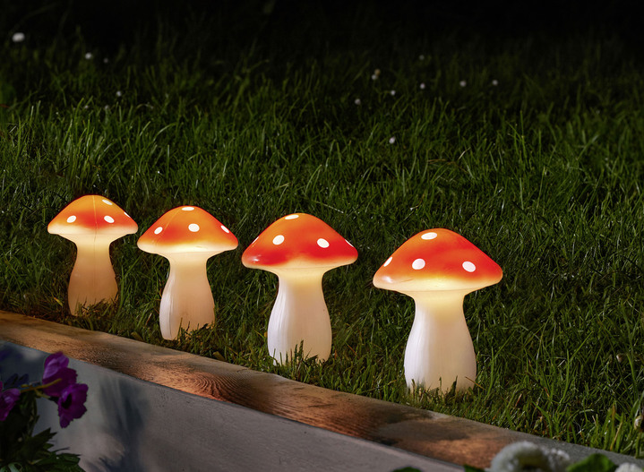 Solarleuchten - LED-Pilze aus Kunststoff, 4er-Set, in Farbe ROT-WEISS Ansicht 1