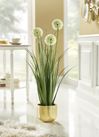 Allium-Gesteck im Topf