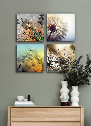 Bilder-Set, 4-teilig, mit Pusteblumen-Motiven