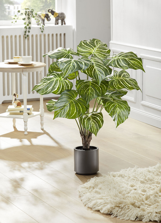 Kunst- & Textilpflanzen - Philodendron im Topf, in Farbe GRÜN