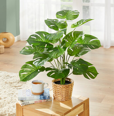 Bewerbung des Bereiches Kunstpflanzen