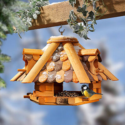 Bewerbung des Bereiches Winterlicher Garten